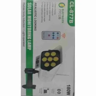 Solar monitoring lamp